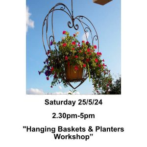 hanging baskets classes