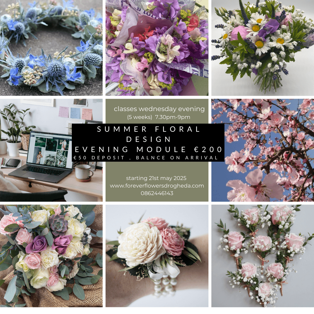 summer workshops summer workshops
